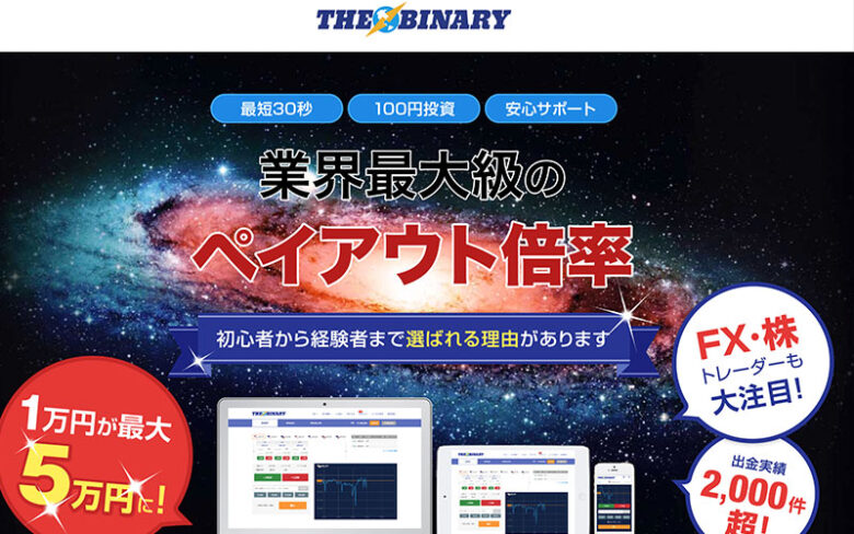 ザバイナリー会社